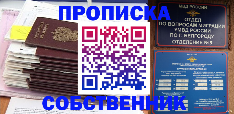 прописка законно в Саранске